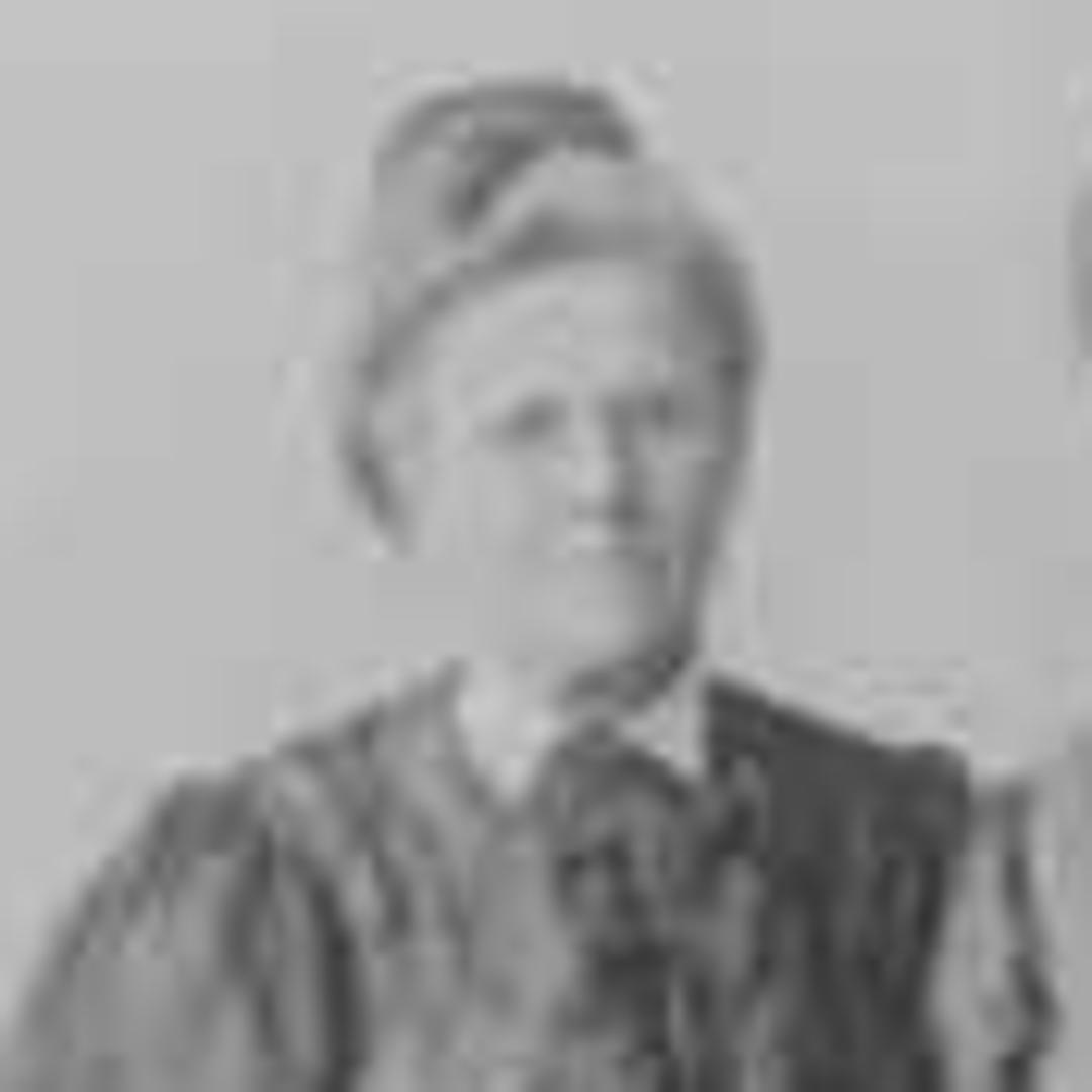 Emma Wardle (1848 - 1929) Profile